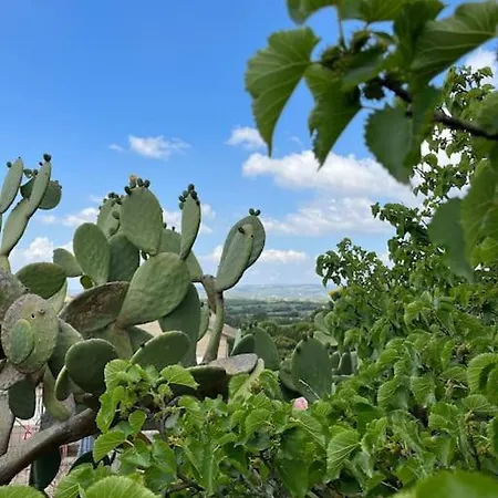 Olimpia: Nature&relax